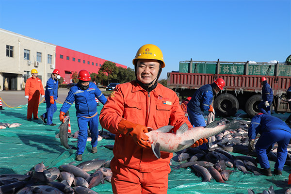 魚1